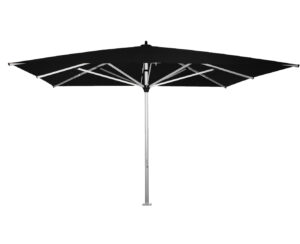 Parasol Basto
